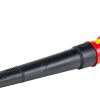 R20 Уред за обдухване RAIDER PRO RDP-YBL20